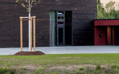 Modernes Gebäude mit Baum und Fenster